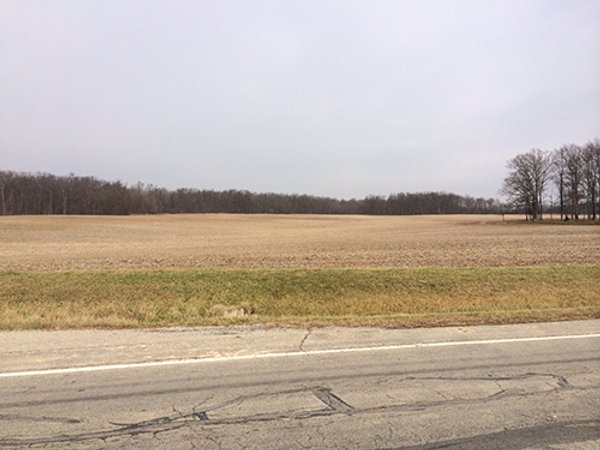 LAND AUCTION, 83.18+/- Acres offered in 2 Tracts